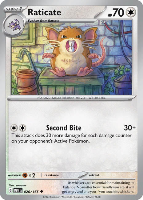 Pokemon TCG - Raticate - MEW