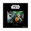 Buffalo 1000pc Puzzle - Disney™ Star Wars™ - Fine Art Collection - Baptism by Fire-TCG Nerd