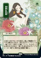 MTG Mystical Archive - 048 Abundant Harvest - STA-TCG Nerd