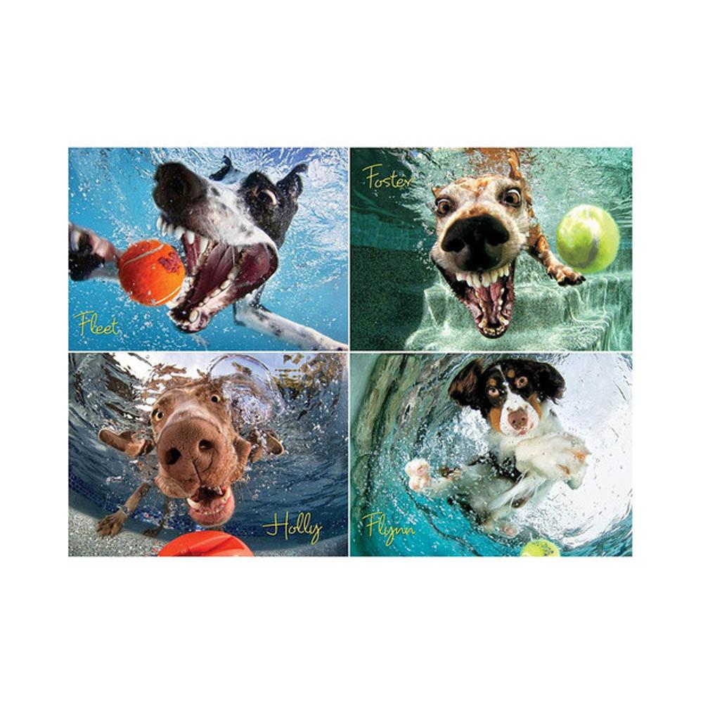 Willow Creek Press 1000pc Puzzle - Underwater Dogs: Play Ball!-TCG Nerd Main image