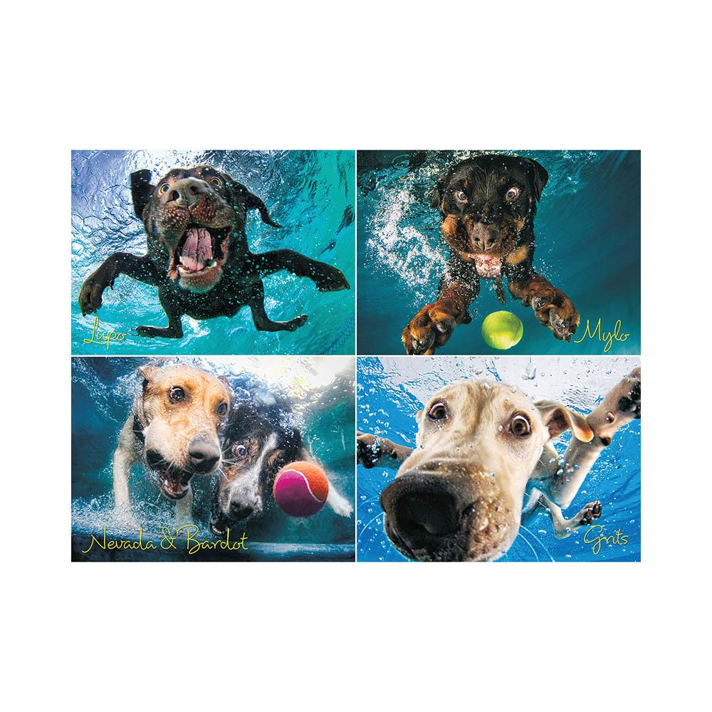 Willow Creek Press 1000pc Puzzle - Underwater Dogs Splash-TCG Nerd Main image