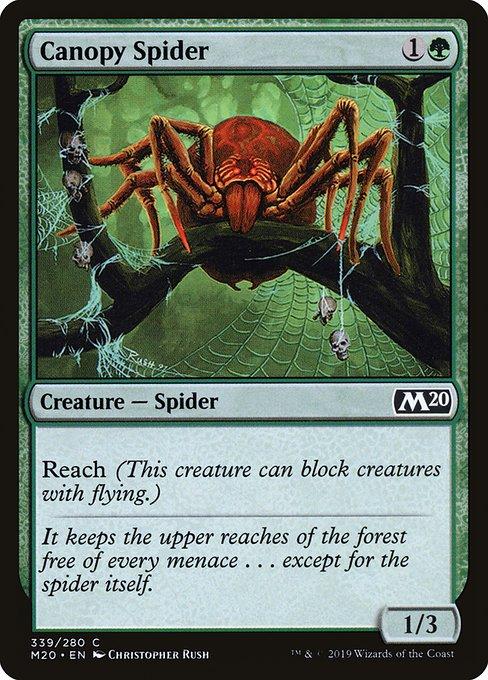 MTG Core Set 2020 - 339 Canopy Spider - M20-TCG Nerd